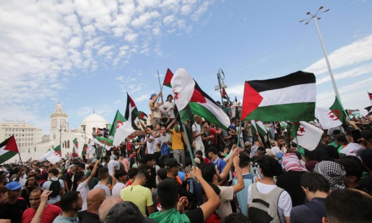 آخر الأخبار